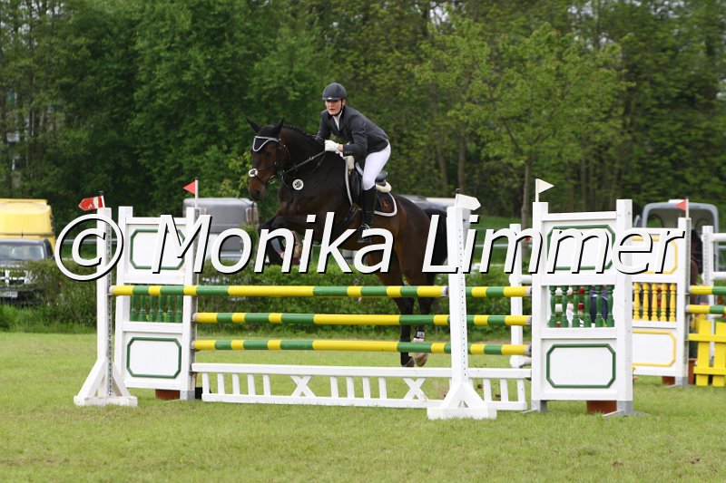 005M6459_Springpferde L.JPG